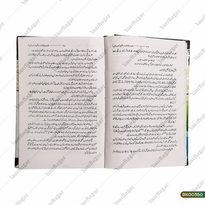 Ulamae Hind Ka Shandar Maazi