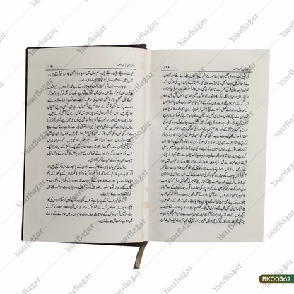 Do Gaz Zameen (Novel)